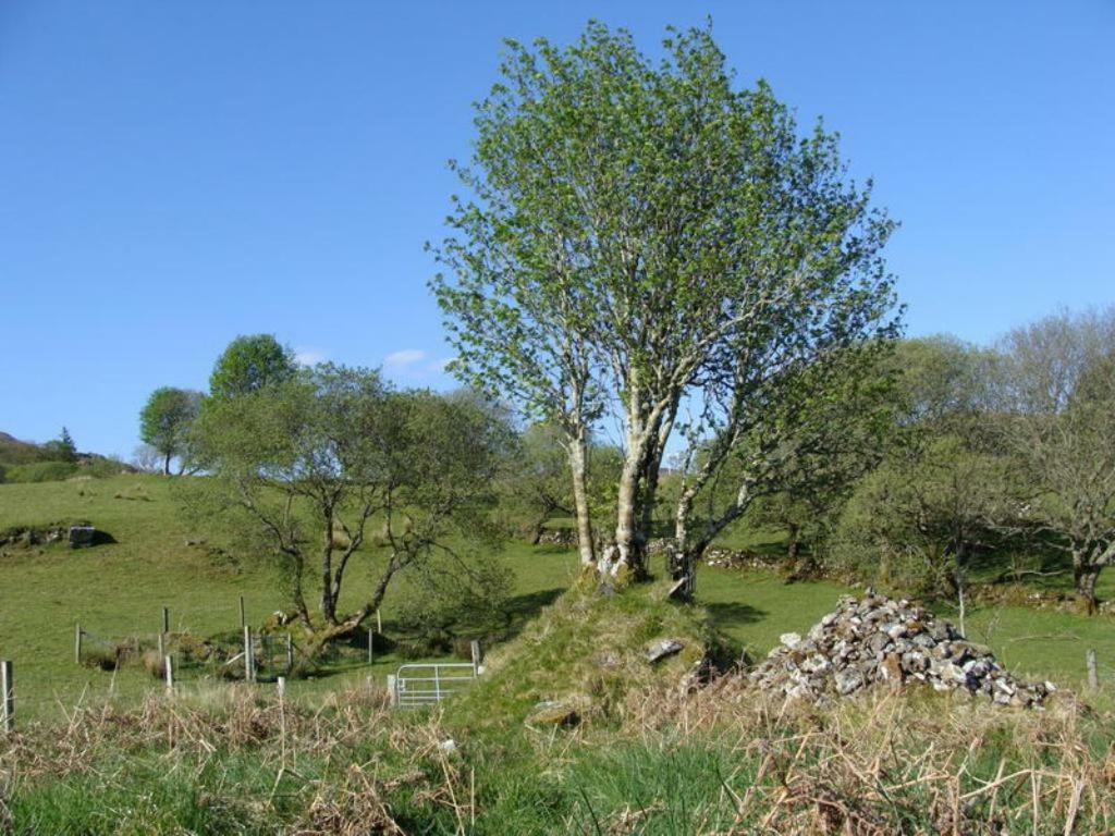 The Bluestack Centre Hostel Donegal Town Buitenkant foto